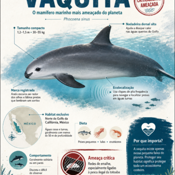 Infográfico no GPT